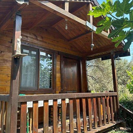 Olimpos Bungalov Apart Aparthotel Balikliova Exterior photo