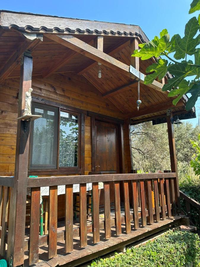Olimpos Bungalov Apart Aparthotel Balikliova Exterior photo